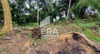 TANAH DIJUAL JL. M YAMIN, SAMARINDA  (2)