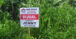 TANAH DIJUAL RINGROAD, SAMARINDA