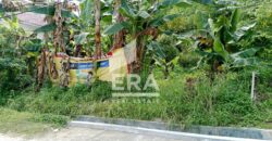 TANAH DIJUAL SUWANDI RAYA, SAMARINDA