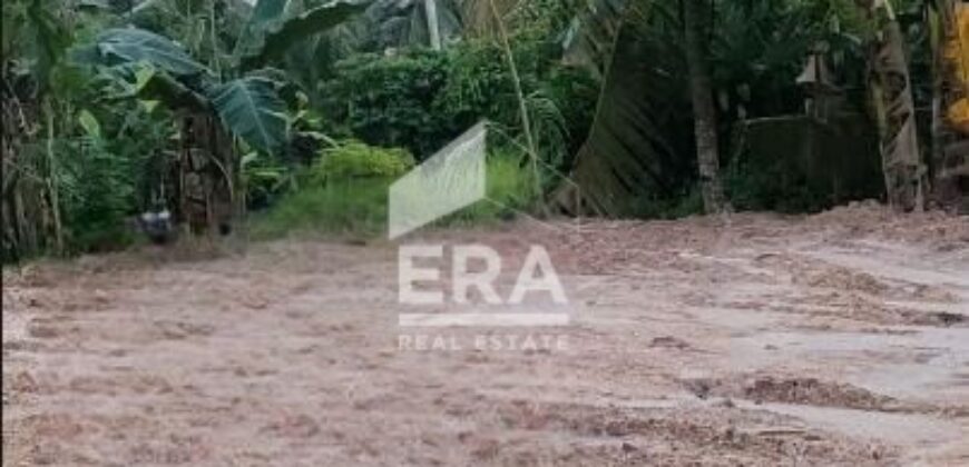 DIJUAL TANAH JL SULTAN ALIMUDIN, SAMBUTAN, SAMARINDA