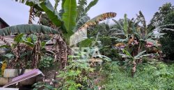 TANAH DIJUAL, JL AW SYAHRANIE 4, SAMARINDA