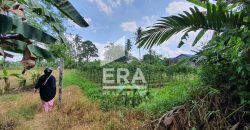 DIJUAL TANAH LOKASI STRATEGIS, SAMARINDA UTARA