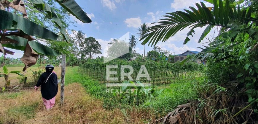 DIJUAL TANAH LOKASI STRATEGIS, SAMARINDA UTARA